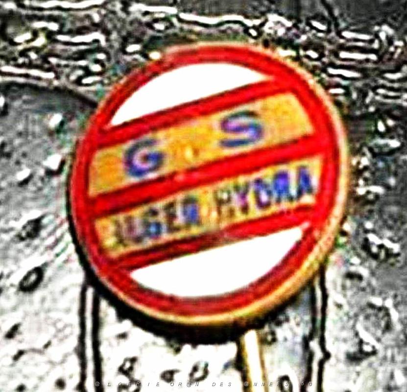 Insignes divers - 100.jpg